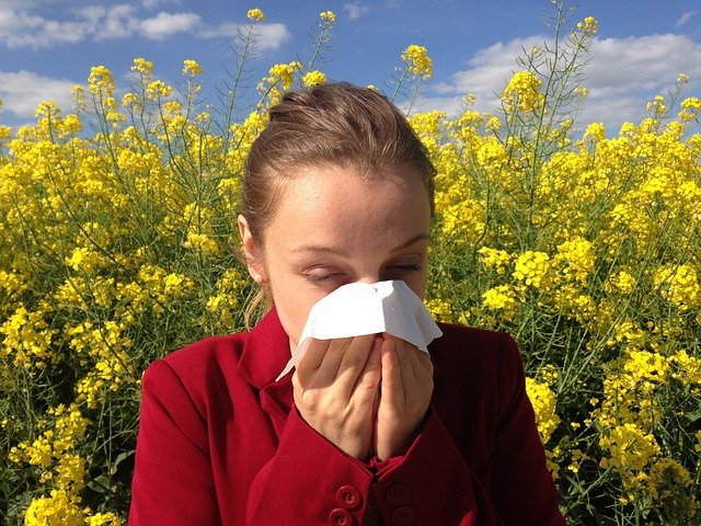 Alergia na pyłki – jedna z najczęstszych alergii w Polsce